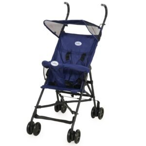 عربية شارع تويجي